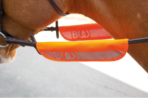 Bridleway Visibility Bridle Halter Bands: Orange