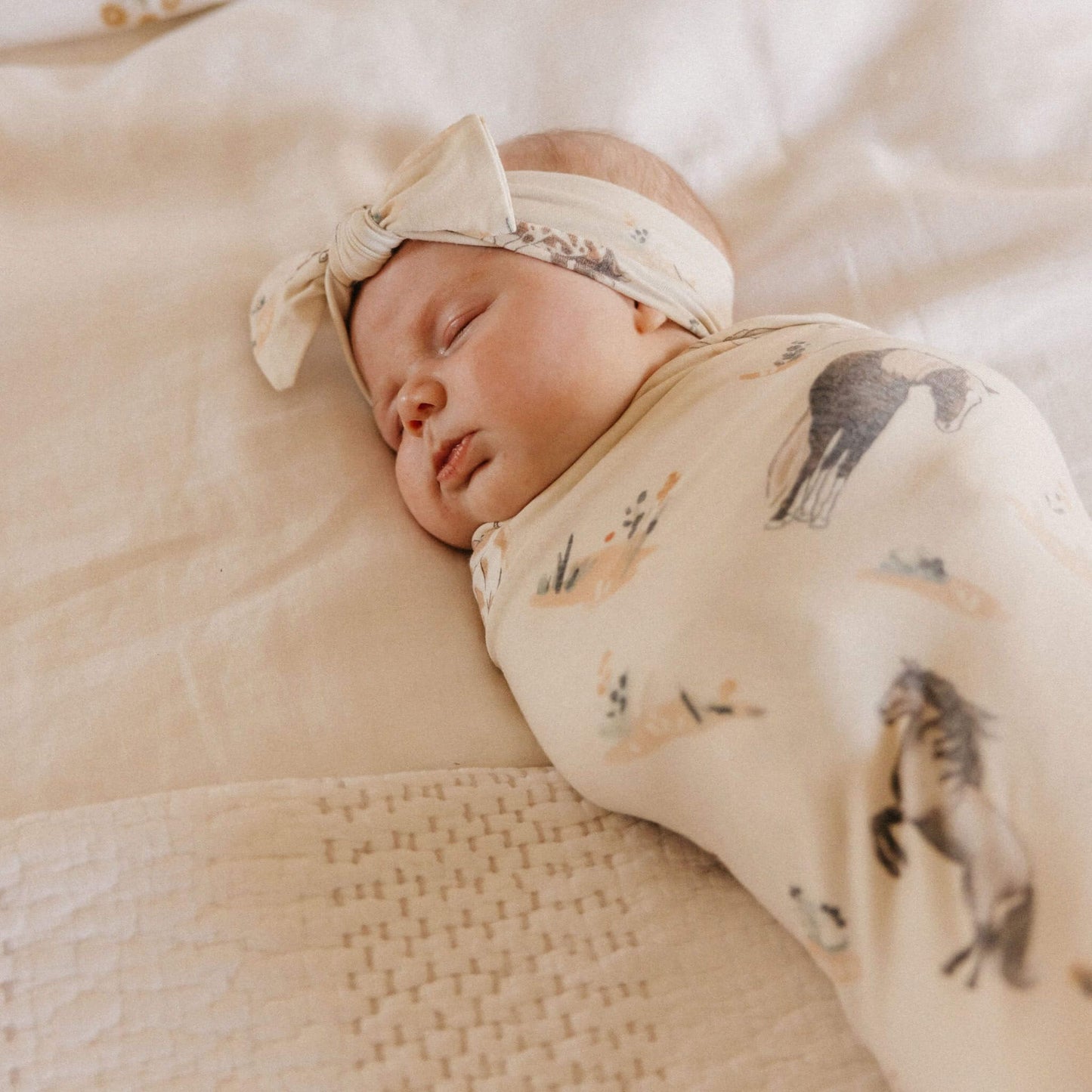 Knit Headband Bow - Montana