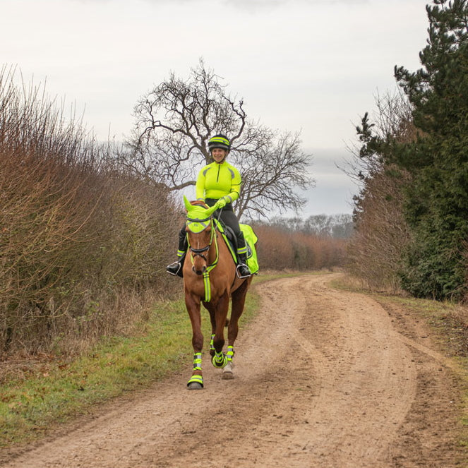 Hy Equestrian Reflector Base Layer Yellow Ladies