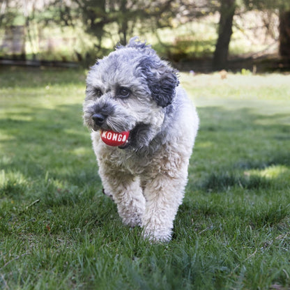 Kong: Signature Ball Small 2''s