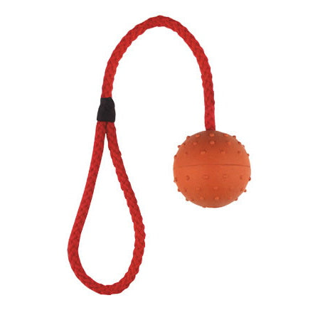 Lazy Bones: Ball On Rope 2.5