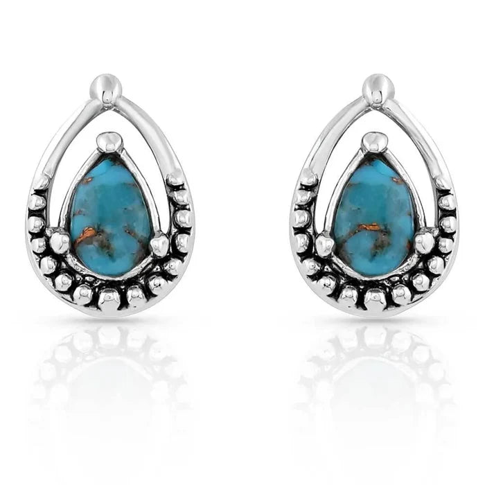 Montana Silversmiths Touch of Turquoise Earrings ER5123