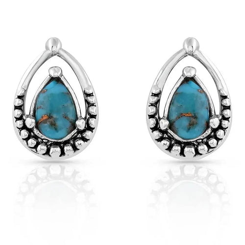 Montana Silversmiths Touch of Turquoise Earrings ER5123
