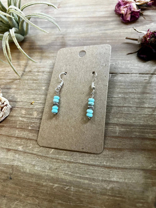 The Bijoux FAB Mini Turquoise Magnesite Dangle Earrings EAR-MIN-175-MAG