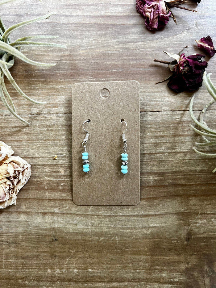 The Bijoux FAB Mini Turquoise Magnesite Dangle Earrings EAR-MIN-175-MAG