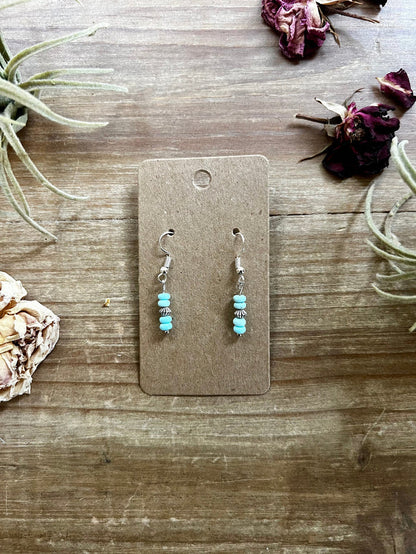 The Bijoux FAB Mini Turquoise Magnesite Dangle Earrings EAR-MIN-175-MAG